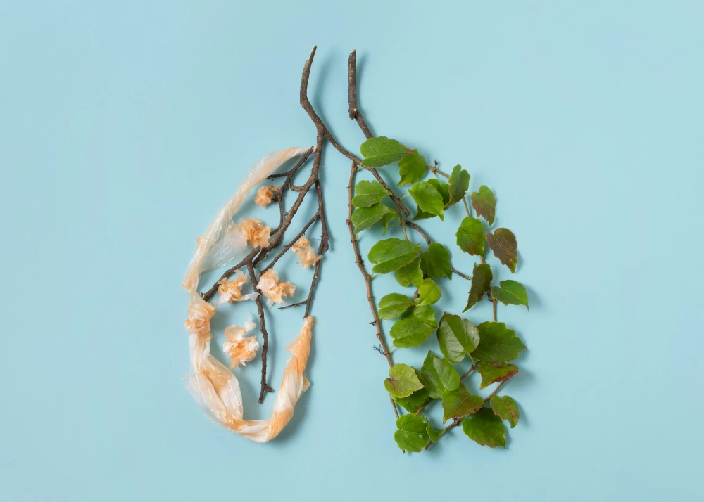 Pneumothorax (Lung Deflated) Chest Diseases Spc. Dr. Özgür İnce